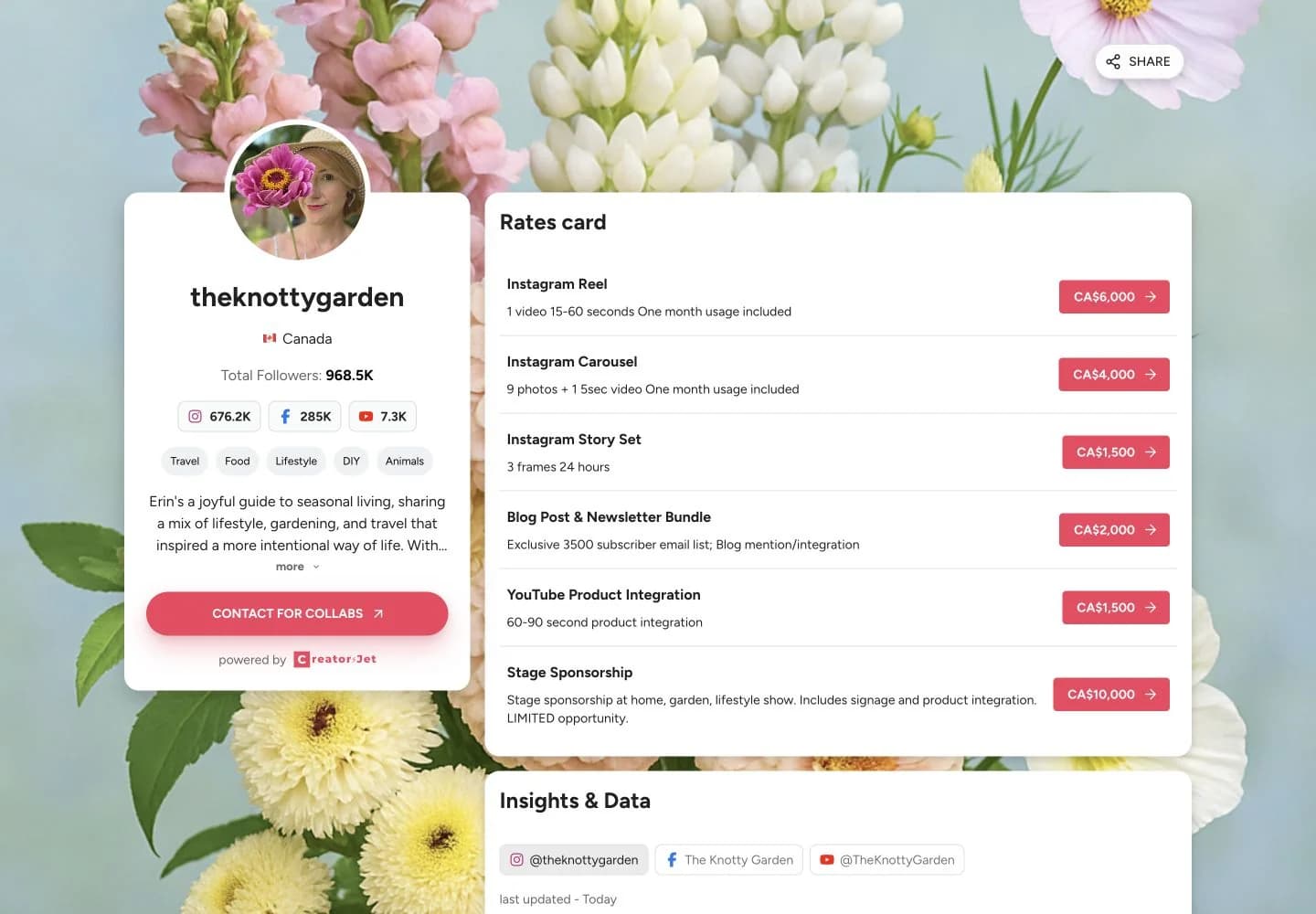 Influencer rate card template example from theknottygarden