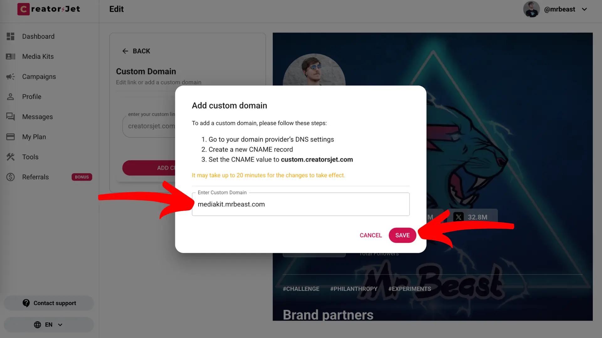 Add Custom Domain popup with DNS instructions and Save button